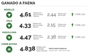 Lee más sobre el artículo El mercado ganadero presenta una faena dinámica y buena fluidez en las operaciones